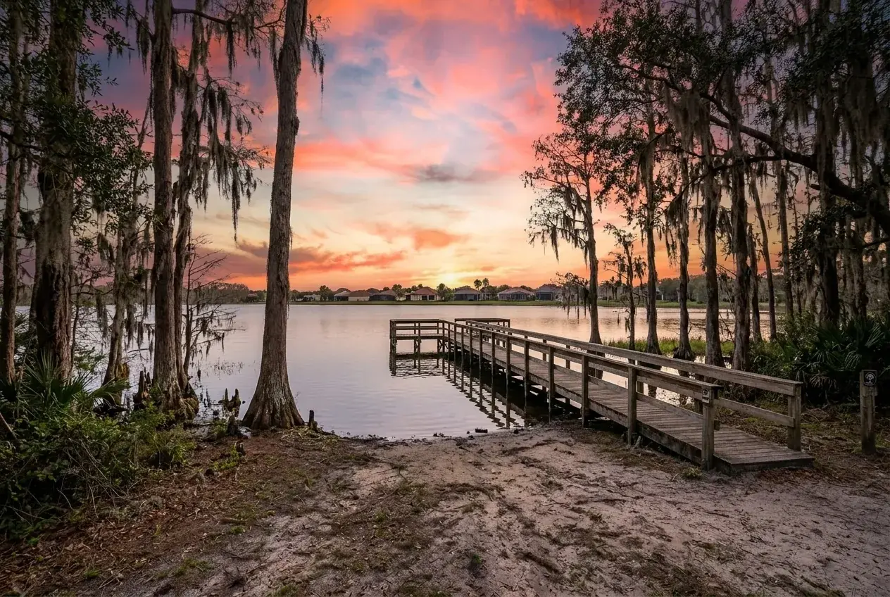 Lake Tohopekaliga shoreline with cypress and oaks at sunset in Kissimmee, FL